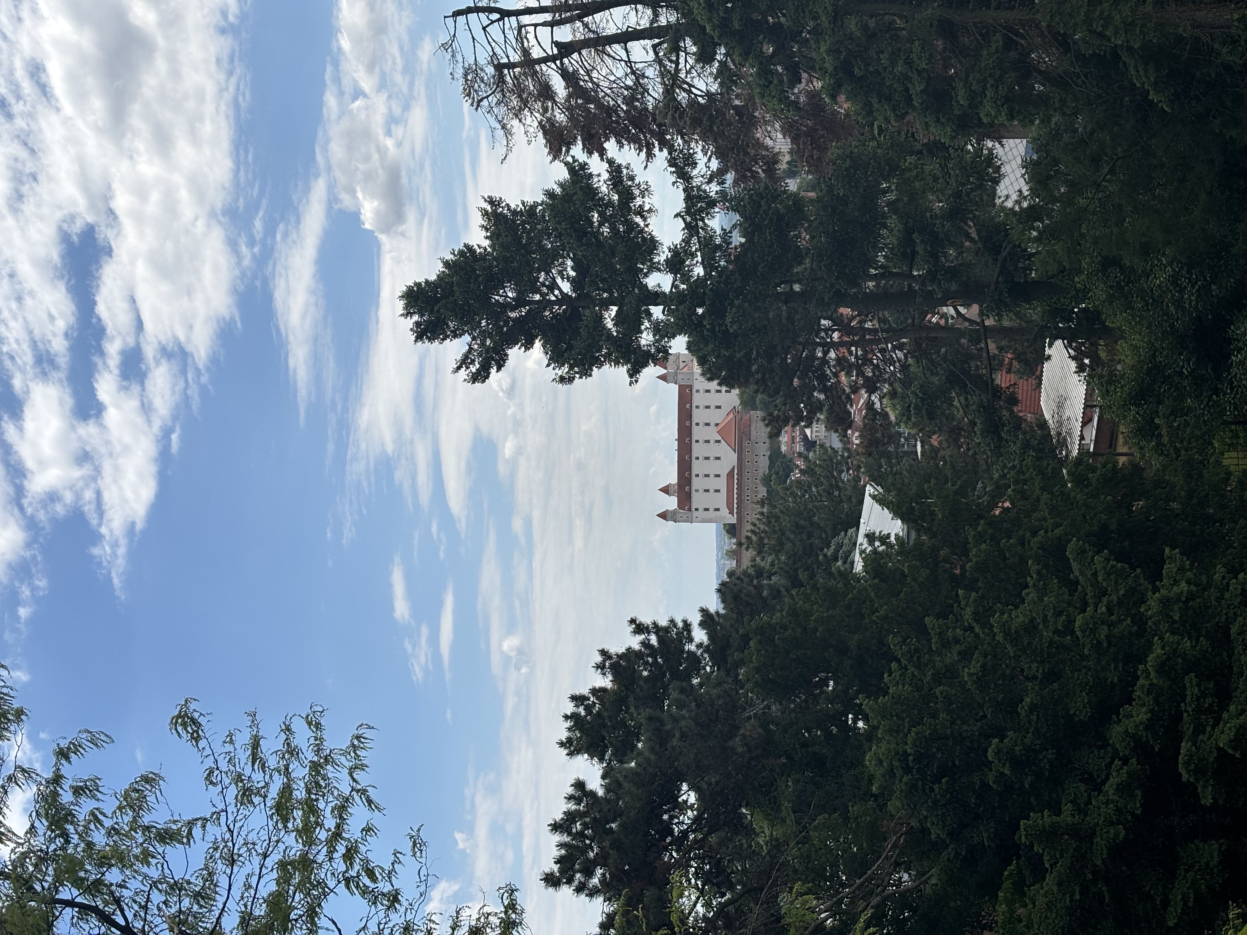 Intimate view of Bratislava Castle through trees from Slavín Memorial